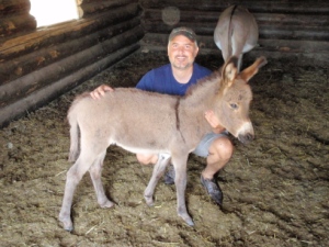 Gayfarmer