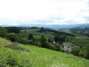 gayfarmer